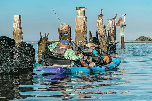 Vibe Kayaks Models Explained: Which Vibe Fishing Kayak Fits Your Style?