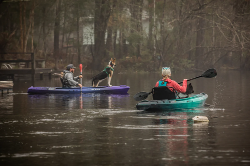 Recreational Kayaks vs. Fishing Kayaks: Which Should You Buy?