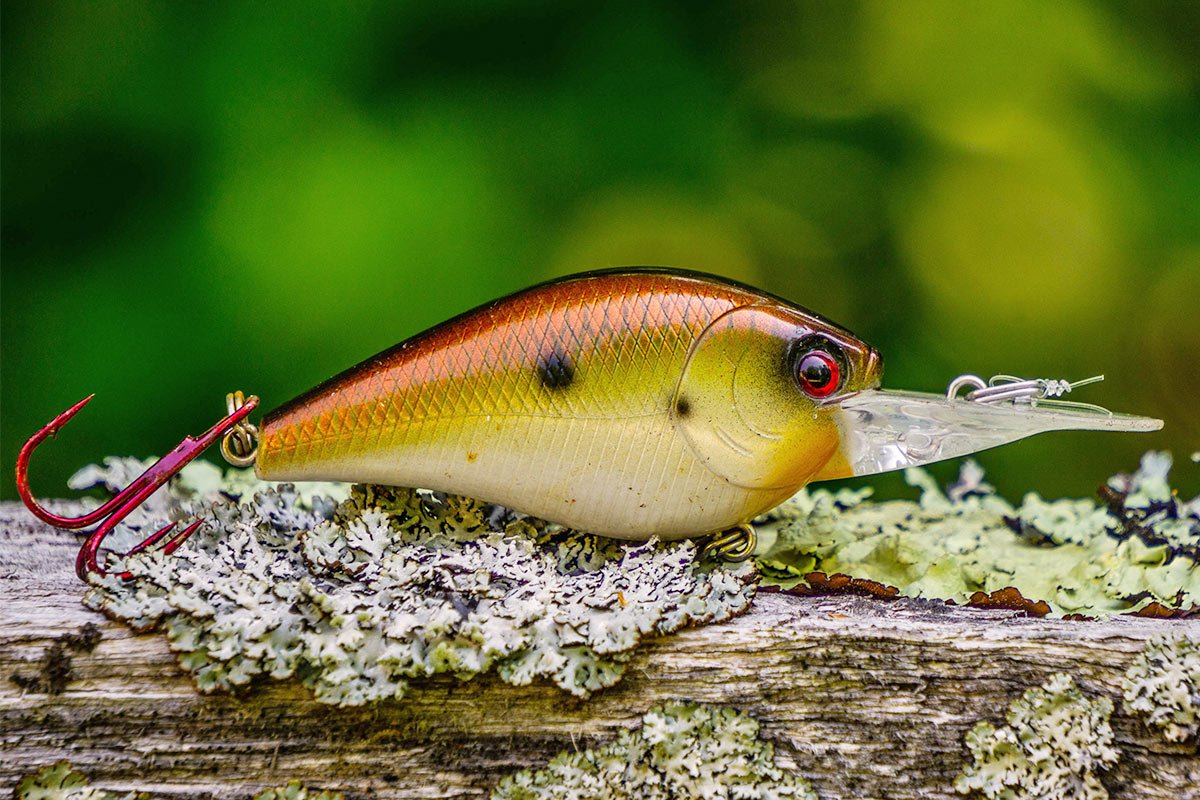 How to Use Crank Baits to Catch Bass - Vibe Kayaks