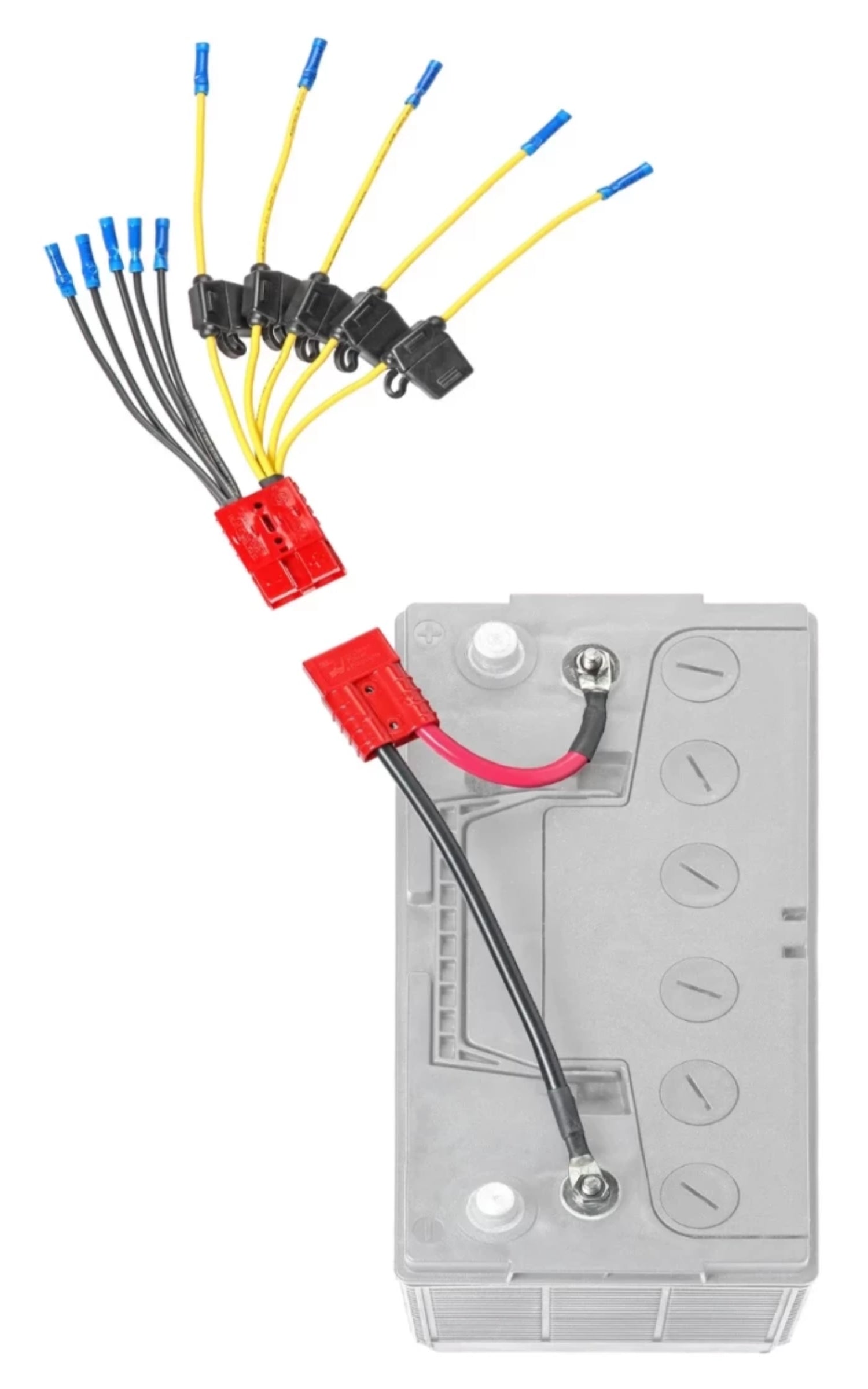 Kit de connexion à fusibles (CE12VB5FK)* Compatible Lithium