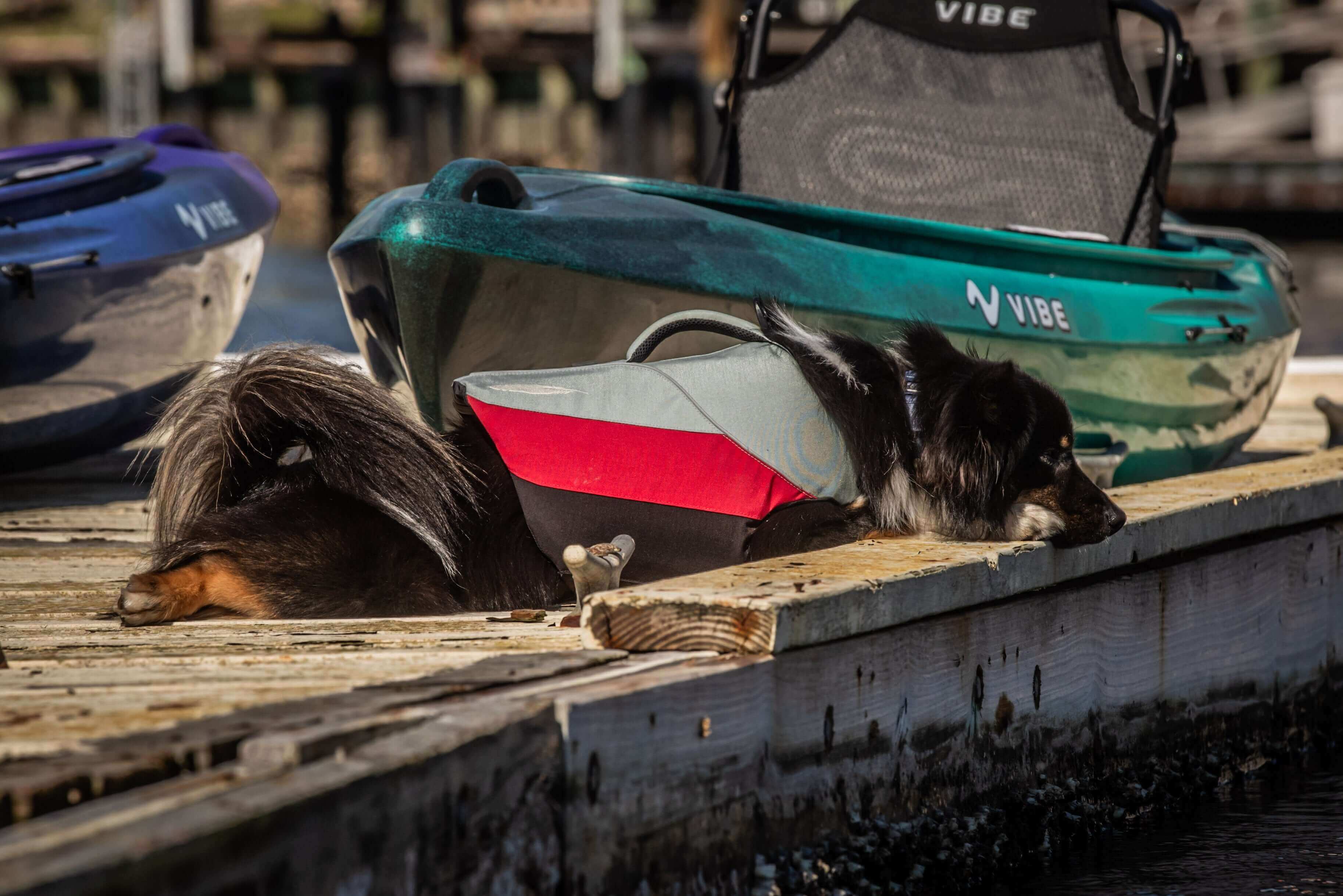 Shaka 100 + Evolve Adjustable Paddle + Kayak Stand + 20oz Tumbler + 10L Dry Bag + Anchor Trolley Kit
