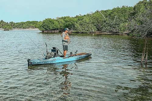Where to Buy Vibe Kayaks: Online Store, Dealers and What to Check Before You Order
