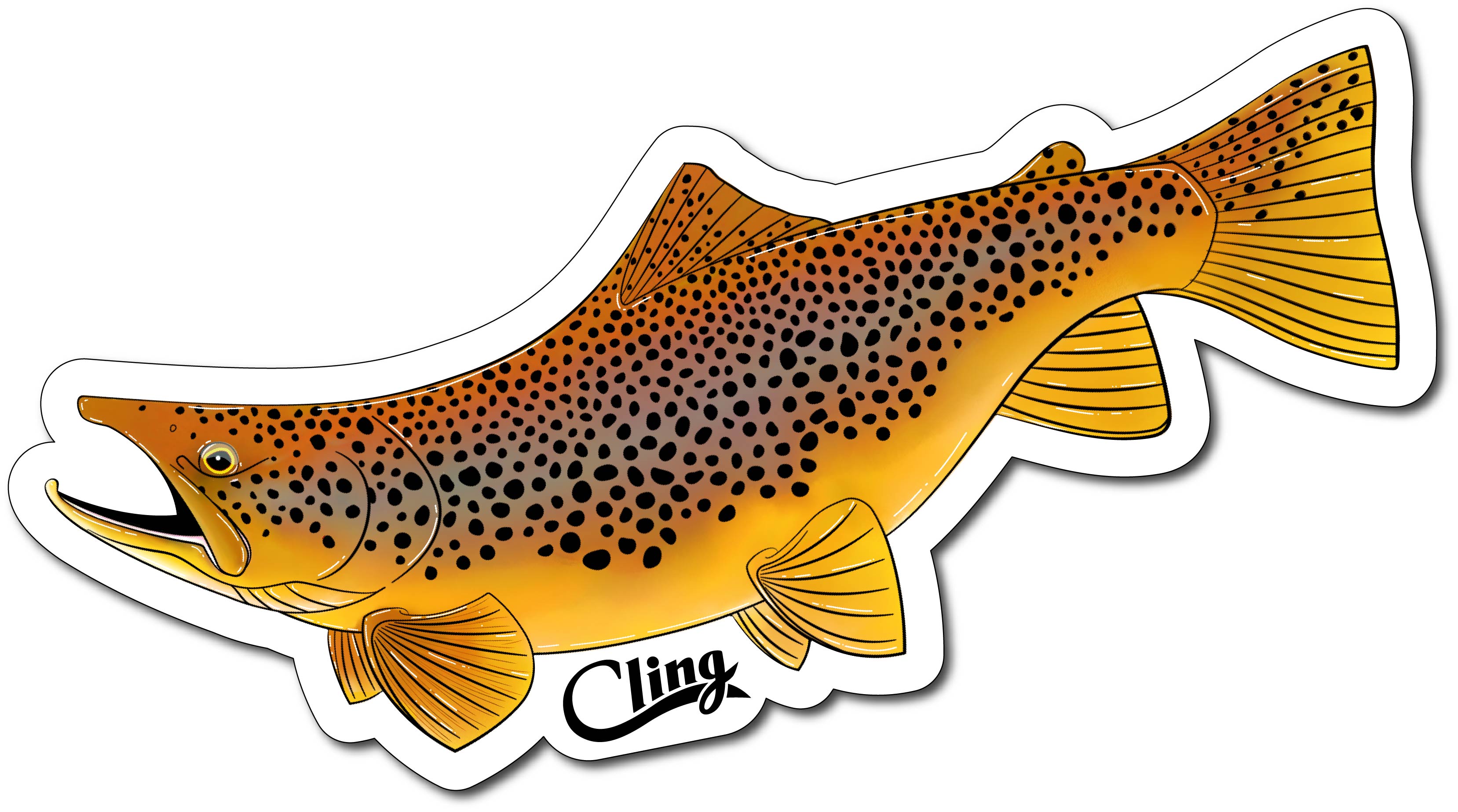 Decals